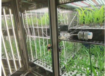 غرفة نمو النبات LIYI آلة إنبات بذور المناخ الصناعي