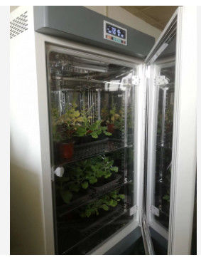 غرفة نمو النبات LIYI آلة إنبات بذور المناخ الصناعي